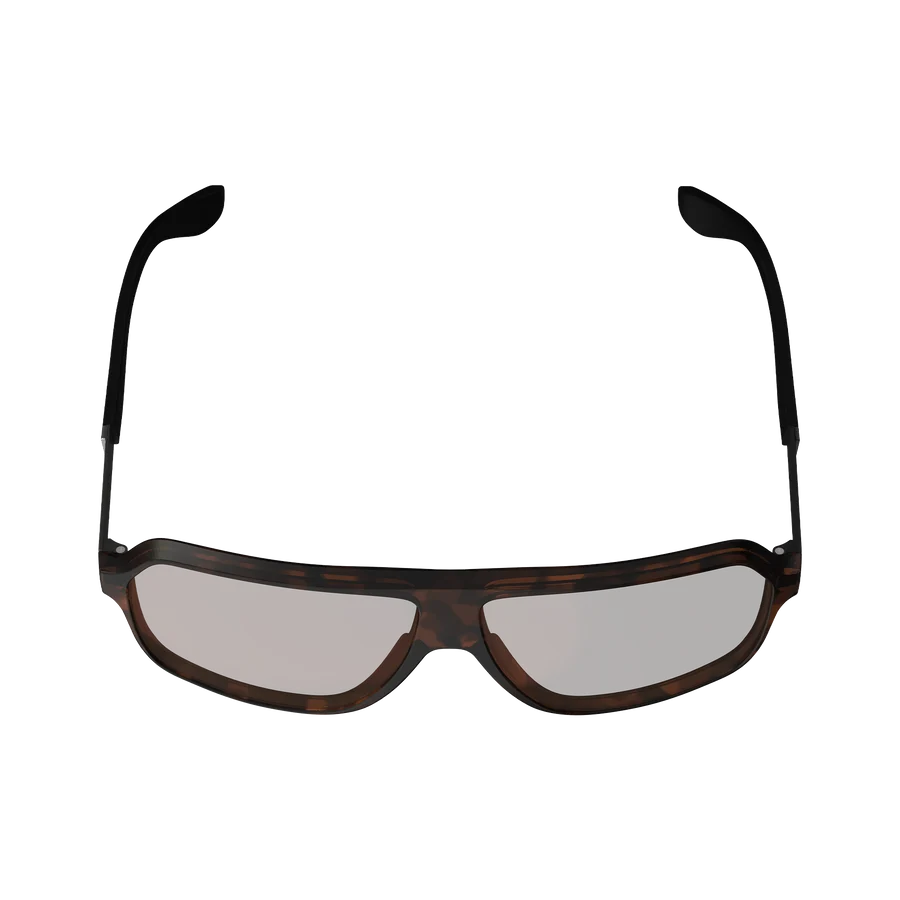 Leatt Sunglasses TheViz Andes V26